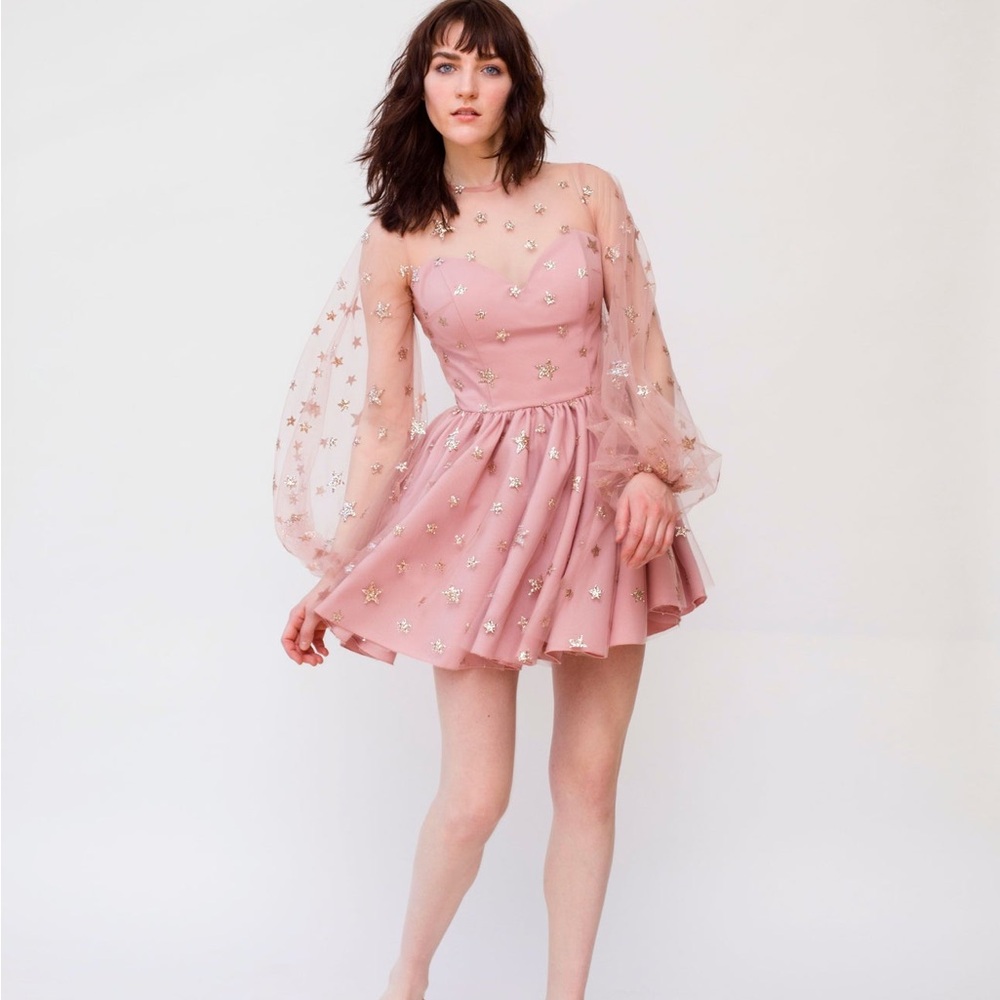 Lirika Matoshi Teuta Pink Glitter Star Sweetheart Tulle Dress worn once - Picture 6 of 12